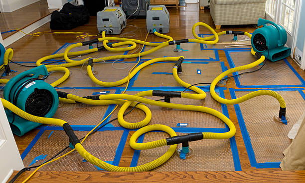 Professional Emergency Water Removal technician working in Sycamore, IL